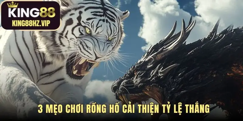 Mẹo chơi Rồng Hổ giúp bạn tránh cửa Hòa và quản lý vốn