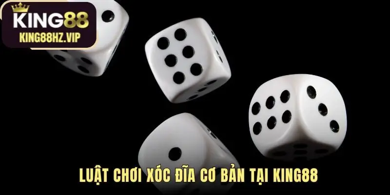 Luật chơi xóc đĩa dựa trên màu sắc 4 đồng xu