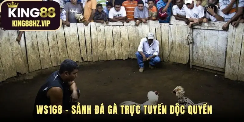 WS168 sảnh độc quyền với công nghệ livestream Full HD